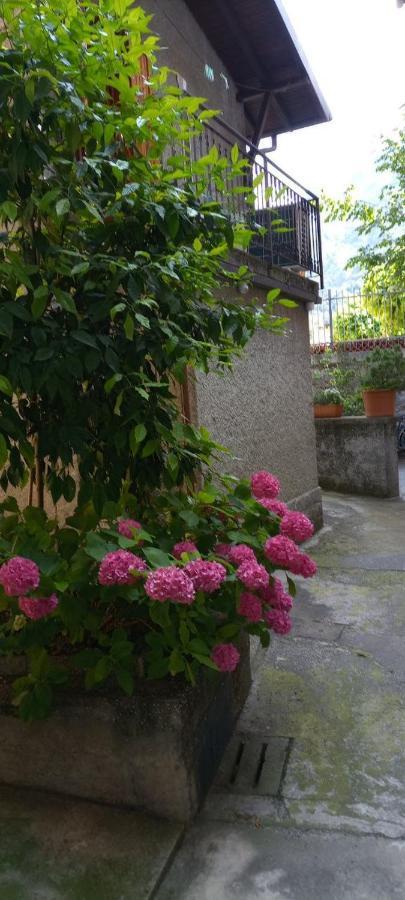 La Casetta Di Vassena Oliveto Lario エクステリア 写真